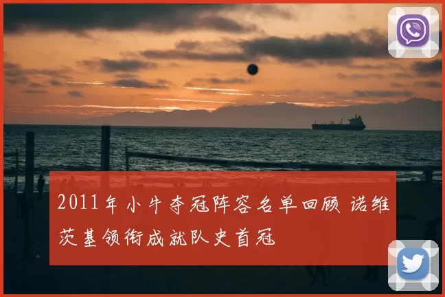 2011年小牛夺冠阵容名单回顾 诺维茨基领衔成就队史首冠