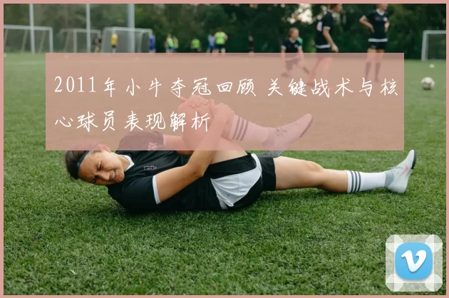 2011年小牛夺冠回顾 关键战术与核心球员表现解析