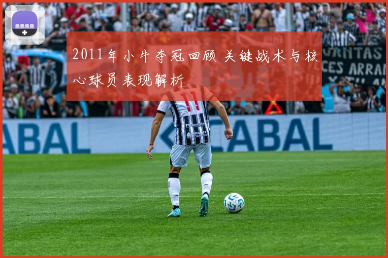 2011年小牛夺冠回顾 关键战术与核心球员表现解析