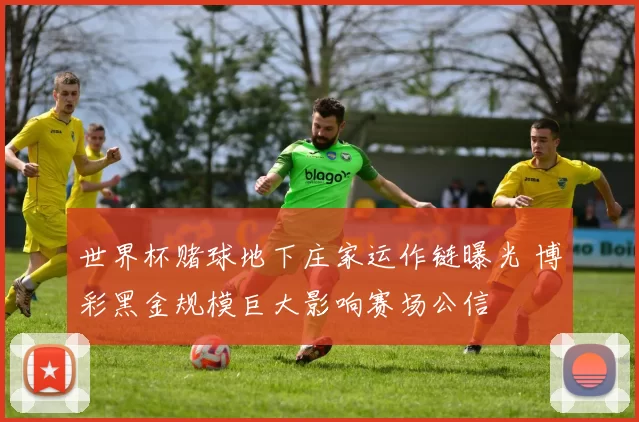 世界杯赌球地下庄家运作链曝光 博彩黑金规模巨大影响赛场公信